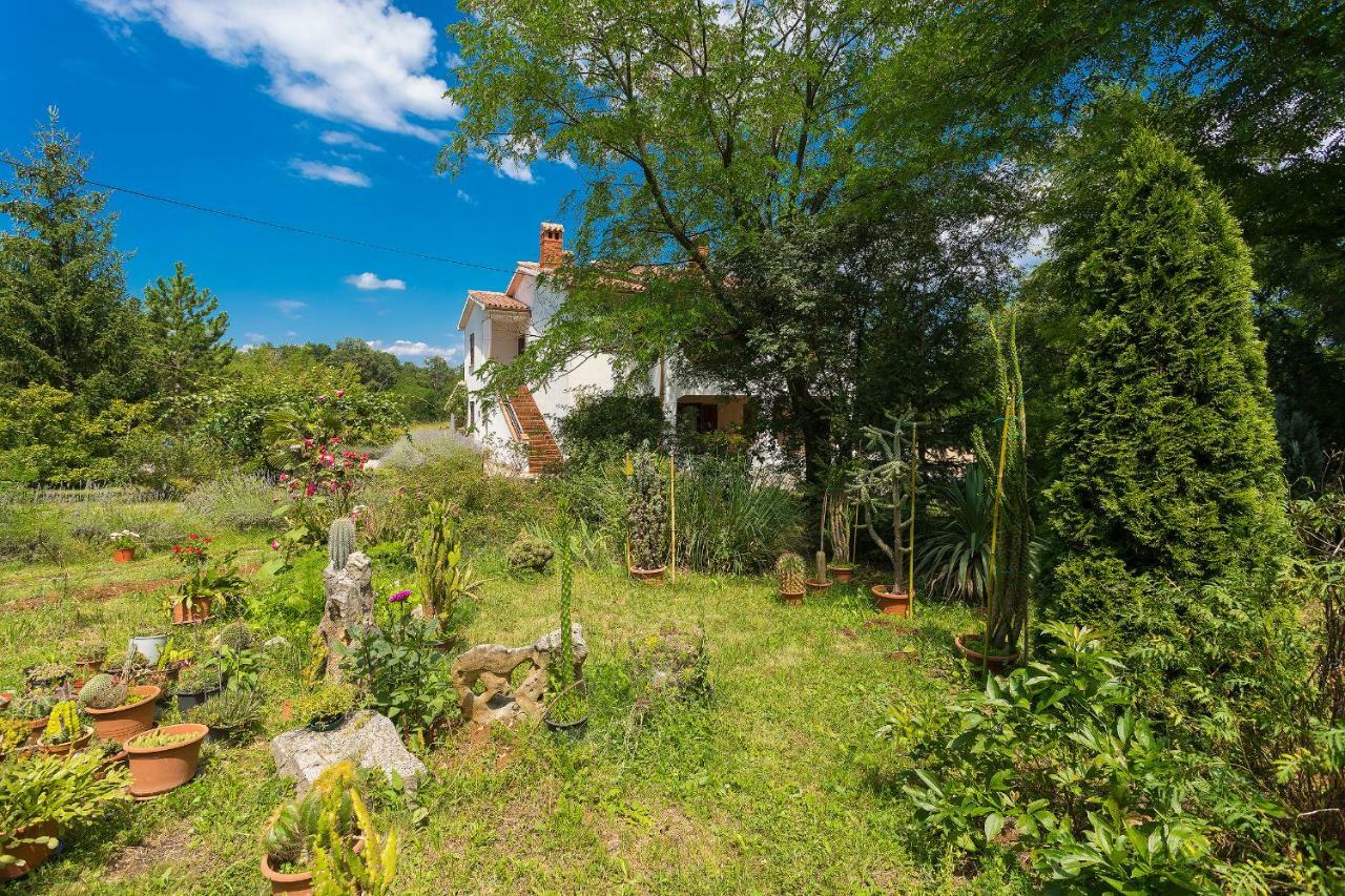 Apartments Valoda Nedescina Exterior photo