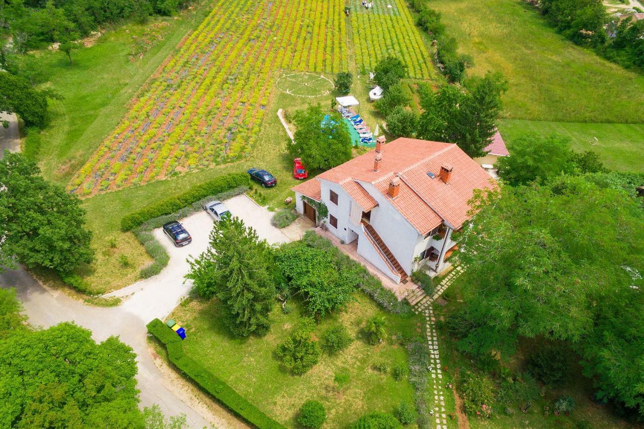 Apartments Valoda Nedescina Exterior photo