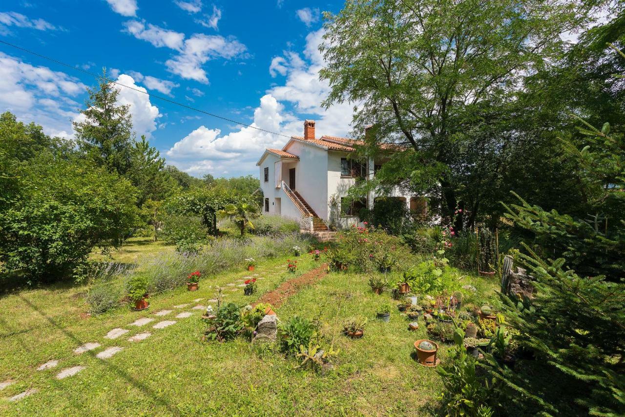 Apartments Valoda Nedescina Exterior photo